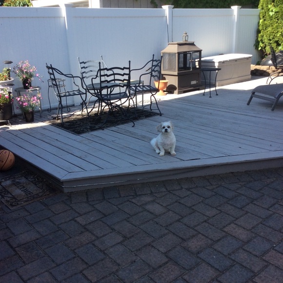 Meet your Posher, Ann marie - Picture 12 of 16